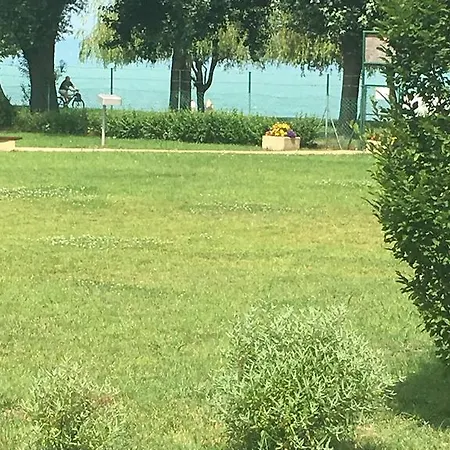 Cuki Siófok