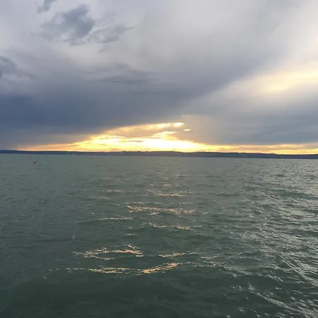Cuki Siófok
