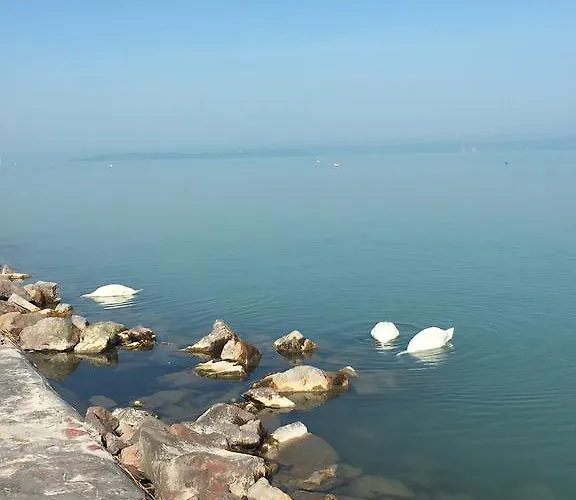 شقة Cuki شيوفوك